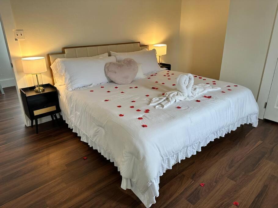 Apartament Cedar Street Retreat - Unit D St. Augustine Zewnętrze zdjęcie